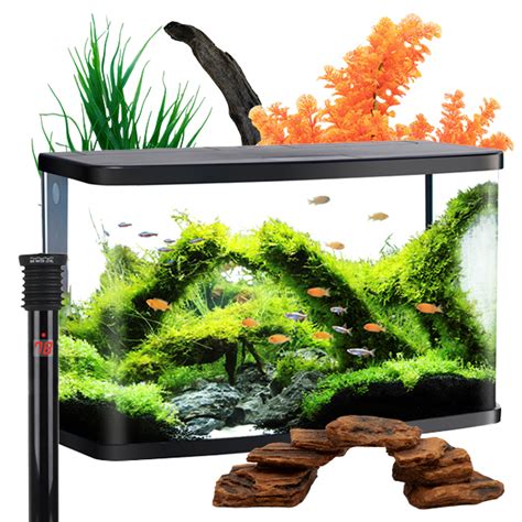 fish aquarium|LiveAquaria .
